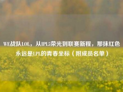 WE战队LOL，从IPL5荣光到联赛新程，那抹红色永远是LPL的青春坐标（附成员名单）