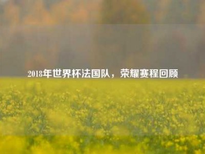 2018年世界杯法国队，荣耀赛程回顾