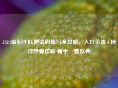 2024最新PUBG邀请码填写全攻略，入口位置+操作步骤详解 新手一看就会