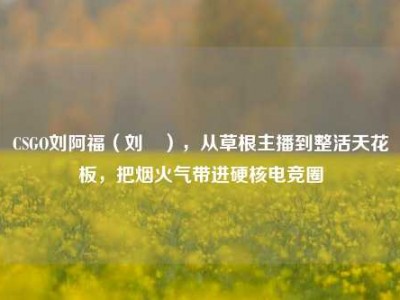 CSGO刘阿福（刘頔），从草根主播到整活天花板，把烟火气带进硬核电竞圈