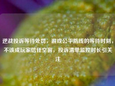逆战投诉等待处罚，游戏公平防线的等待时刻，不该成玩家信任空窗，投诉清单监控时长引关注
