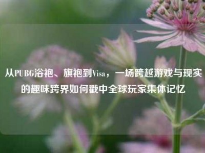 从PUBG浴袍、旗袍到Visa，一场跨越游戏与现实的趣味跨界如何戳中全球玩家集体记忆