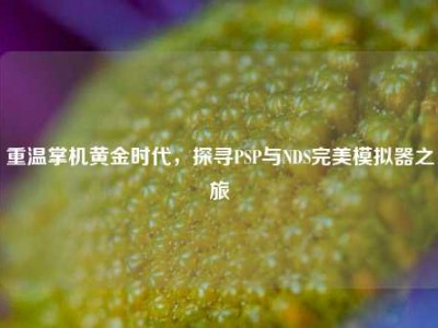 重温掌机黄金时代，探寻PSP与NDS完美模拟器之旅