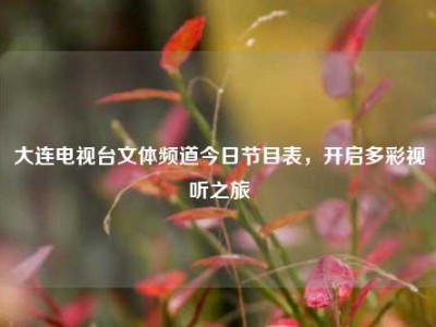 大连电视台文体频道今日节目表，开启多彩视听之旅