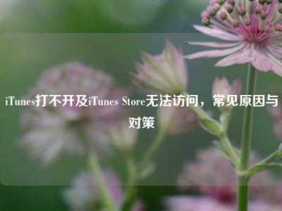 iTunes打不开及iTunes Store无法访问，常见原因与对策