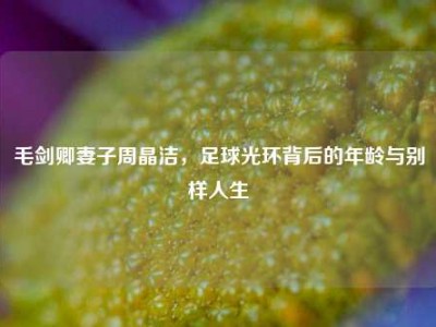 毛剑卿妻子周晶洁，足球光环背后的年龄与别样人生