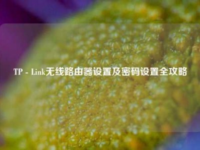 TP - Link无线路由器设置及密码设置全攻略