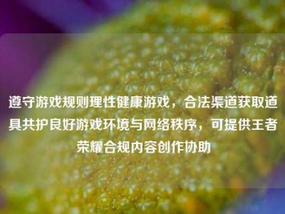 遵守游戏规则理性健康游戏，合法渠道获取道具共护良好游戏环境与网络秩序，可提供王者荣耀合规内容创作协助