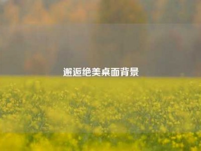 邂逅绝美桌面背景