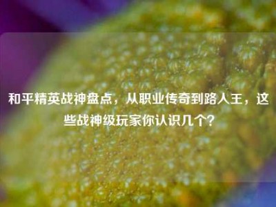 和平精英战神盘点，从职业传奇到路人王，这些战神级玩家你认识几个？