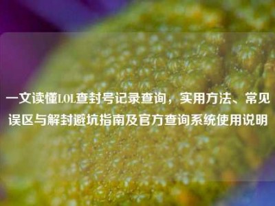一文读懂LOL查封号记录查询，实用方法、常见误区与解封避坑指南及官方查询系统使用说明