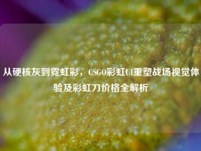 从硬核灰到霓虹彩，CSGO彩虹UI重塑战场视觉体验及彩虹刀价格全解析