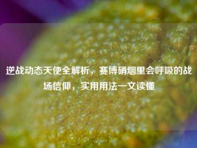 逆战动态天使全解析，赛博硝烟里会呼吸的战场信仰，实用用法一文读懂