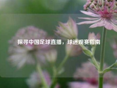 探寻中国足球直播，球迷观赛指南