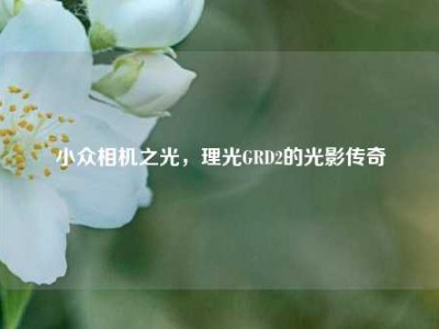小众相机之光，理光GRD2的光影传奇