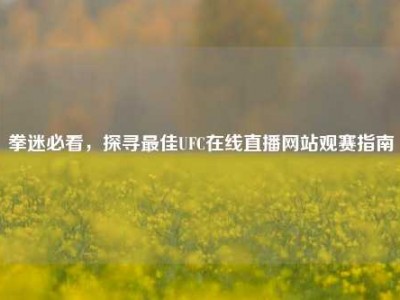 拳迷必看，探寻最佳UFC在线直播网站观赛指南