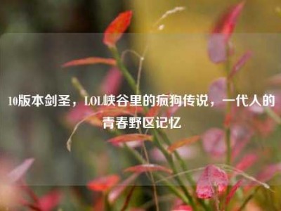 10版本剑圣，LOL峡谷里的疯狗传说，一代人的青春野区记忆