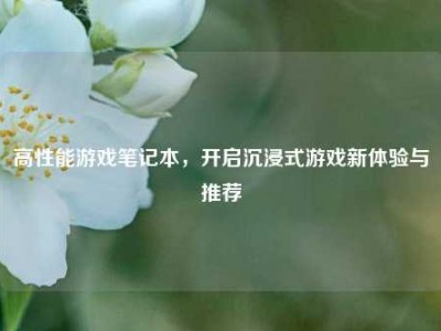 高性能游戏笔记本，开启沉浸式游戏新体验与推荐