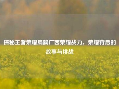 探秘王者荣耀扁鹊广西荣耀战力，荣耀背后的故事与挑战
