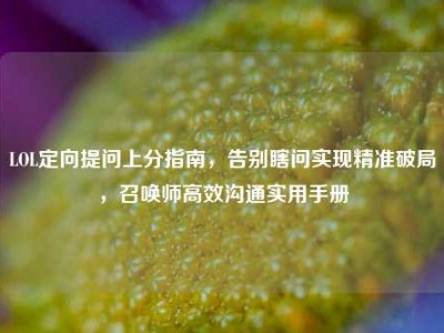 LOL定向提问上分指南，告别瞎问实现精准破局，召唤师高效沟通实用手册