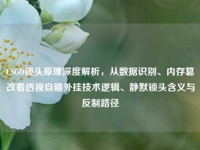 CSGO锁头原理深度解析，从数据识别、内存篡改看透视自瞄外挂技术逻辑、静默锁头含义与反制路径