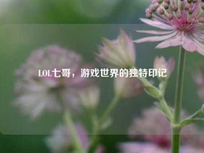 LOL七哥，游戏世界的独特印记