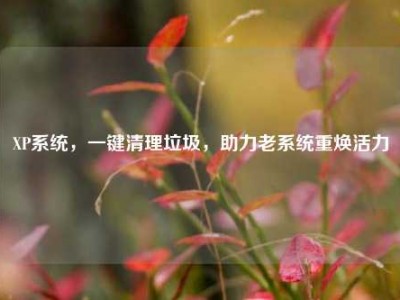 XP系统，一键清理垃圾，助力老系统重焕活力