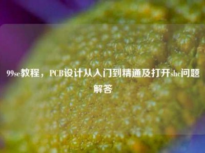 99se教程，PCB设计从入门到精通及打开shc问题解答