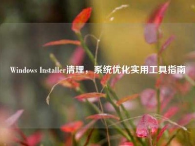 Windows Installer清理，系统优化实用工具指南