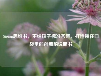 Steam思维书，不给孩子标准答案，打造装在口袋里的创新脑说明书
