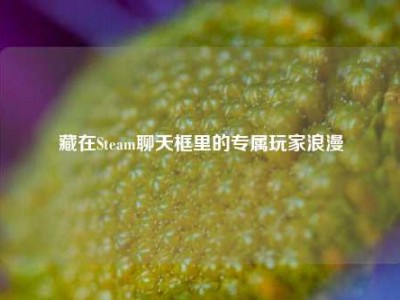 藏在Steam聊天框里的专属玩家浪漫