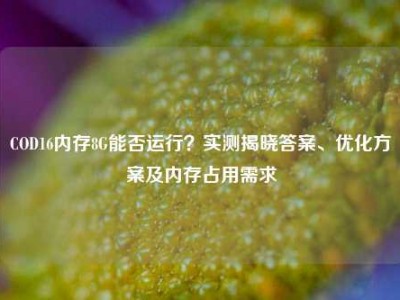 COD16内存8G能否运行？实测揭晓答案、优化方案及内存占用需求