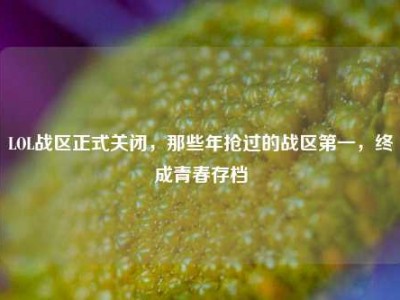 LOL战区正式关闭，那些年抢过的战区第一，终成青春存档