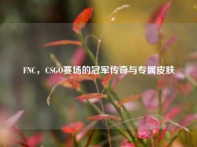 FNC，CSGO赛场的冠军传奇与专属皮肤
