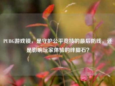 PUBG游戏锁，是守护公平竞技的最后防线，还是影响玩家体验的绊脚石？