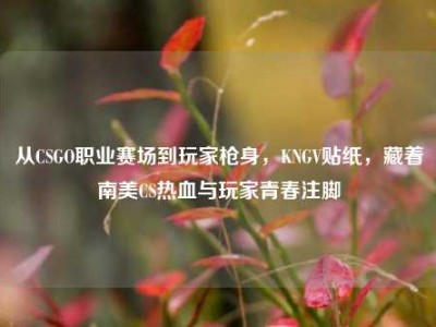 从CSGO职业赛场到玩家枪身，KNGV贴纸，藏着南美CS热血与玩家青春注脚