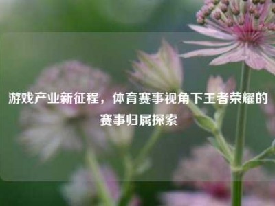 游戏产业新征程，体育赛事视角下王者荣耀的赛事归属探索