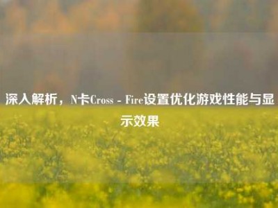 深入解析，N卡Cross - Fire设置优化游戏性能与显示效果