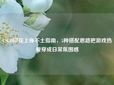 CSGO印花上身不土指南，5种搭配思路把游戏热爱穿成日常氛围感