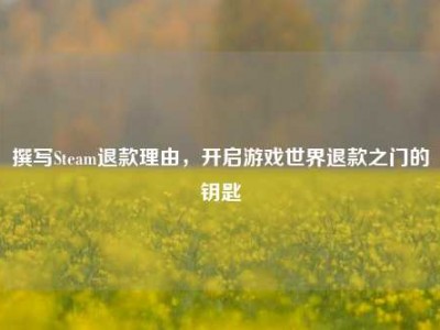 撰写Steam退款理由，开启游戏世界退款之门的钥匙