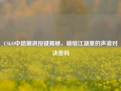 CSGO中路嘲讽按键揭秘，硝烟江湖里的声浪对决密码