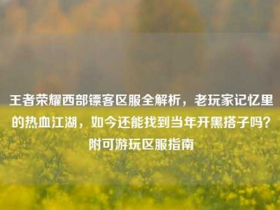王者荣耀西部镖客区服全解析，老玩家记忆里的热血江湖，如今还能找到当年开黑搭子吗？附可游玩区服指南