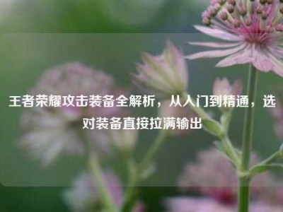 王者荣耀攻击装备全解析，从入门到精通，选对装备直接拉满输出