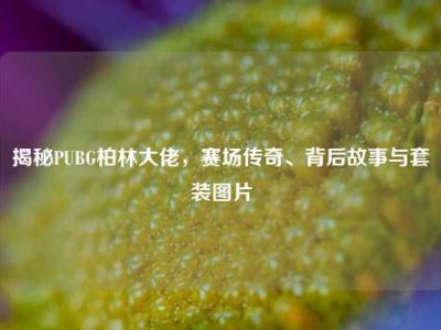 揭秘PUBG柏林大佬，赛场传奇、背后故事与套装图片