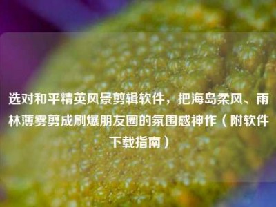 选对和平精英风景剪辑软件，把海岛柔风、雨林薄雾剪成刷爆朋友圈的氛围感神作（附软件下载指南）