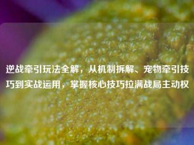 逆战牵引玩法全解，从机制拆解、宠物牵引技巧到实战运用，掌握核心技巧拉满战局主动权