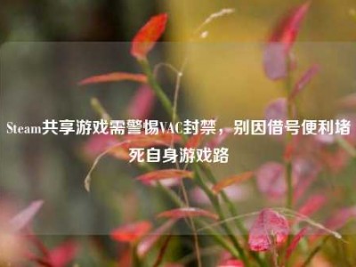 Steam共享游戏需警惕VAC封禁，别因借号便利堵死自身游戏路