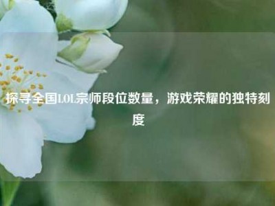 探寻全国LOL宗师段位数量，游戏荣耀的独特刻度