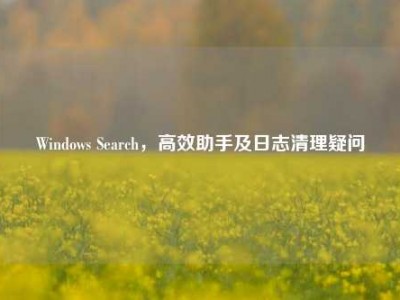 Windows Search，高效助手及日志清理疑问