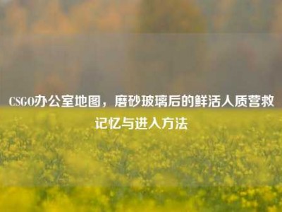 CSGO办公室地图，磨砂玻璃后的鲜活人质营救记忆与进入方法